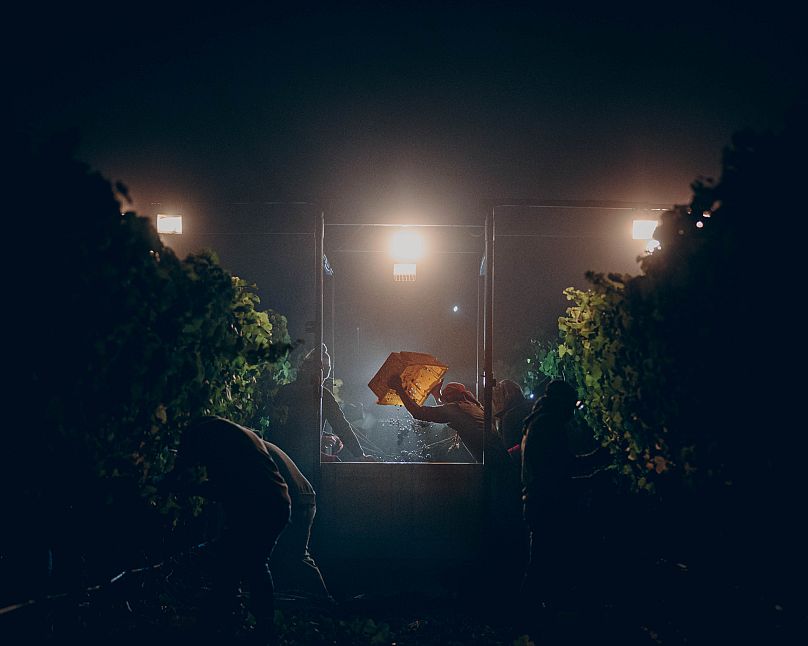 Pinot Noir at Midnight by Heather Daenitz (Overall Winner of Errazuriz Wine Photographer of the Year (and People sub-category)) 