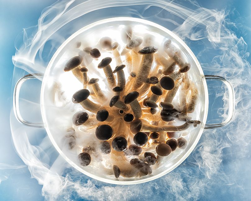 Sky Mushrooms by Diego Papagna (Production Paradise Previously Published) 