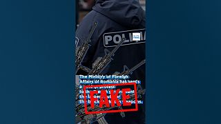 Euronews did not produce this video