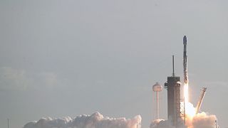 South Africa denies watering down Black ownership rules for Musk's Starlink