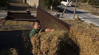 Un paysan en Grèce.