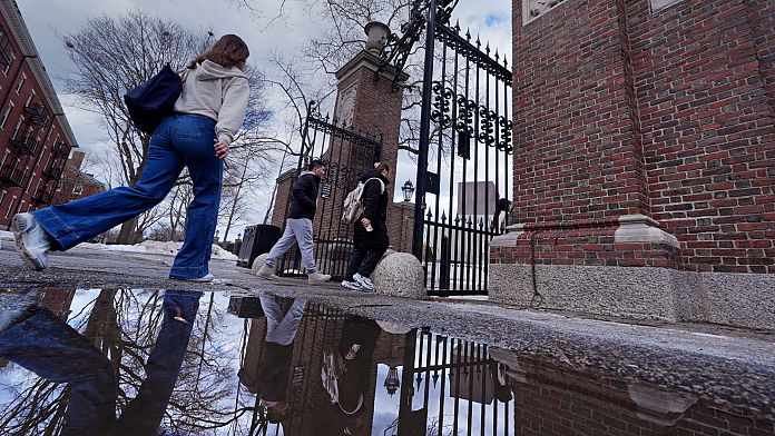 Trump yönetimi, Harvard için 100 milyon dolarlık sözleşmelerin iptal edilmesini istedi