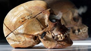Namibia: how did the Herero and Nama genocide happen?