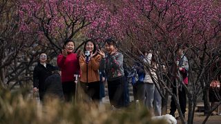 Chine : studios, décors, vitesse… Hengdian séduit les professionnels du micro-drama