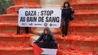Paris - France : des ONG disent "stop" à la guerre à Gaza