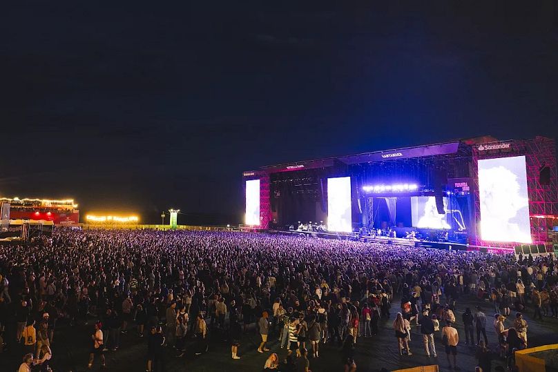 Primavera at night, 2024. 
