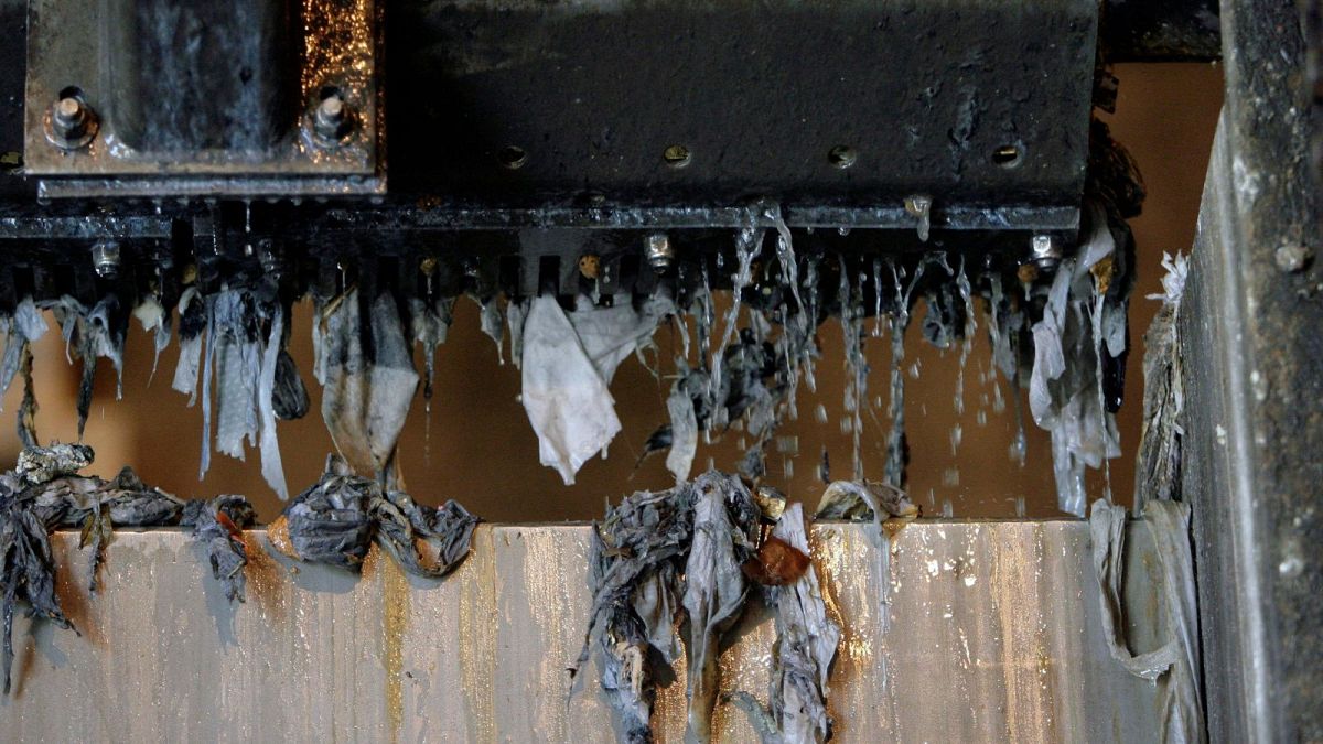 Spain seeks to ban flushing of wet wipes and releasing of balloons