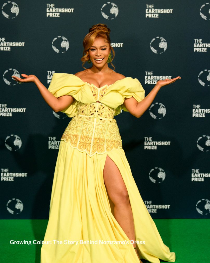 La embajadora del Premio Earthshot, Nomzamo Mbatha, lució en 2024 un vestido teñido por Colorifix y diseñado por Aisha Ayensu, fundadora de la marca de moda Christie Brown.