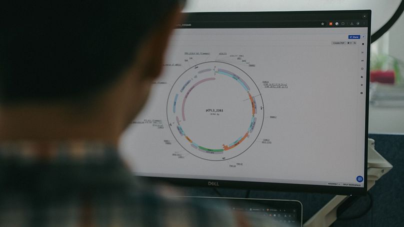 Utilizando la secuenciación de ADN, los científicos identifican dónde está codificado un color particular en la genética de un organismo.