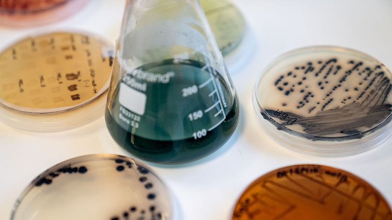Colorifix ha afirmado que su sistema podría ayudar a las fábricas a pasar de la química a la biología.