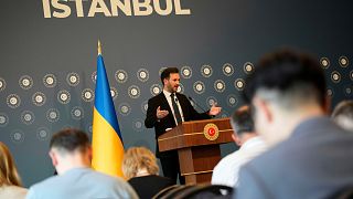 Guerre Russie - Ukraine : le Président turc salue les négociations de lundi