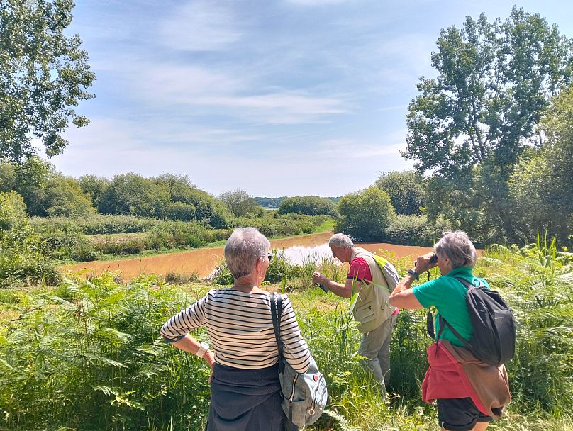A Marais d'Orx látogatói