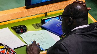 ONU : le Libéria et la RDC entrent au Conseil de Sécurité