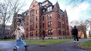 Éthiopie : du Tigré à Harvard, le parcours hors norme de Yonas Niguse