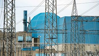 This June 2, 2016 file photo shows the Clinton Clean Energy Center in Clinton, Ill.