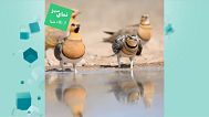 نمای سبز یورونیوز 