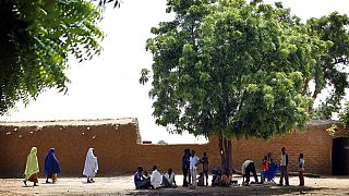 Niger youth go green for Eid to save trees