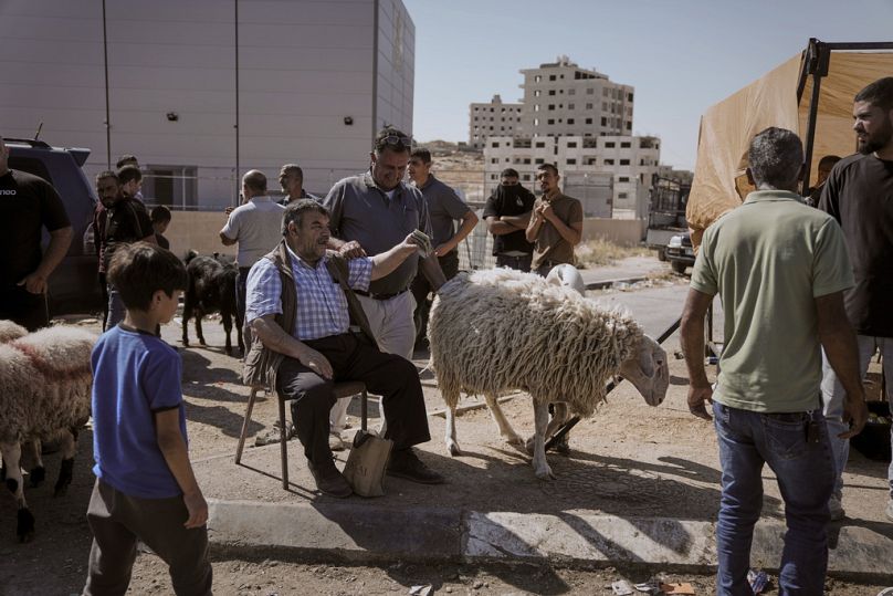 يشتري الفلسطينيون المواشي استعدادًا لحلول عيد الأضحى، وذلك في سوق بمدينة نابلس في الضفة الغربية، يوم الخميس 5 حزيران/يونيو 2025.