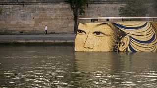The right to flow: Paris council is seeking to grant the River Seine - pictured here with an artwork during the Olympics in July 2024 - legal personhood.
