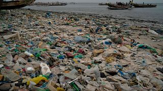 La lutte contre la pollution plastique, combat essentiel pour l'environnement