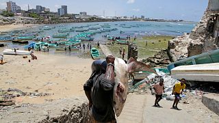 Somalis call Trump's travel ban discriminatory 