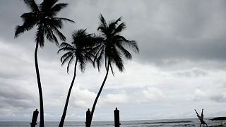 Sao Tomé-et-Principe : le potentiel de la filière pêche valorisé ? 