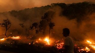 A wildfire burns in the village of Dikela, near Alexandroupolis town, in the northeastern Evros region, Greece, Aug. 22, 2023