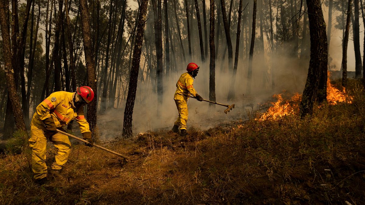 Près de 3 500 pompiers mobilisés contre les feux dans le nord et le centre du Portugal