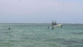 Djiboutian coastguard workers search for bodies of migrants who were washed away on the shore of the Red Sea, 2 October, 2024