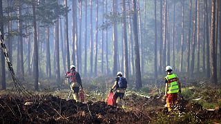 Firefighters work to put out a forest fire south of Alvesta, Sweden on 6 June, 2023. A lack of rain and rising temperatures led to dangerously dry conditions.