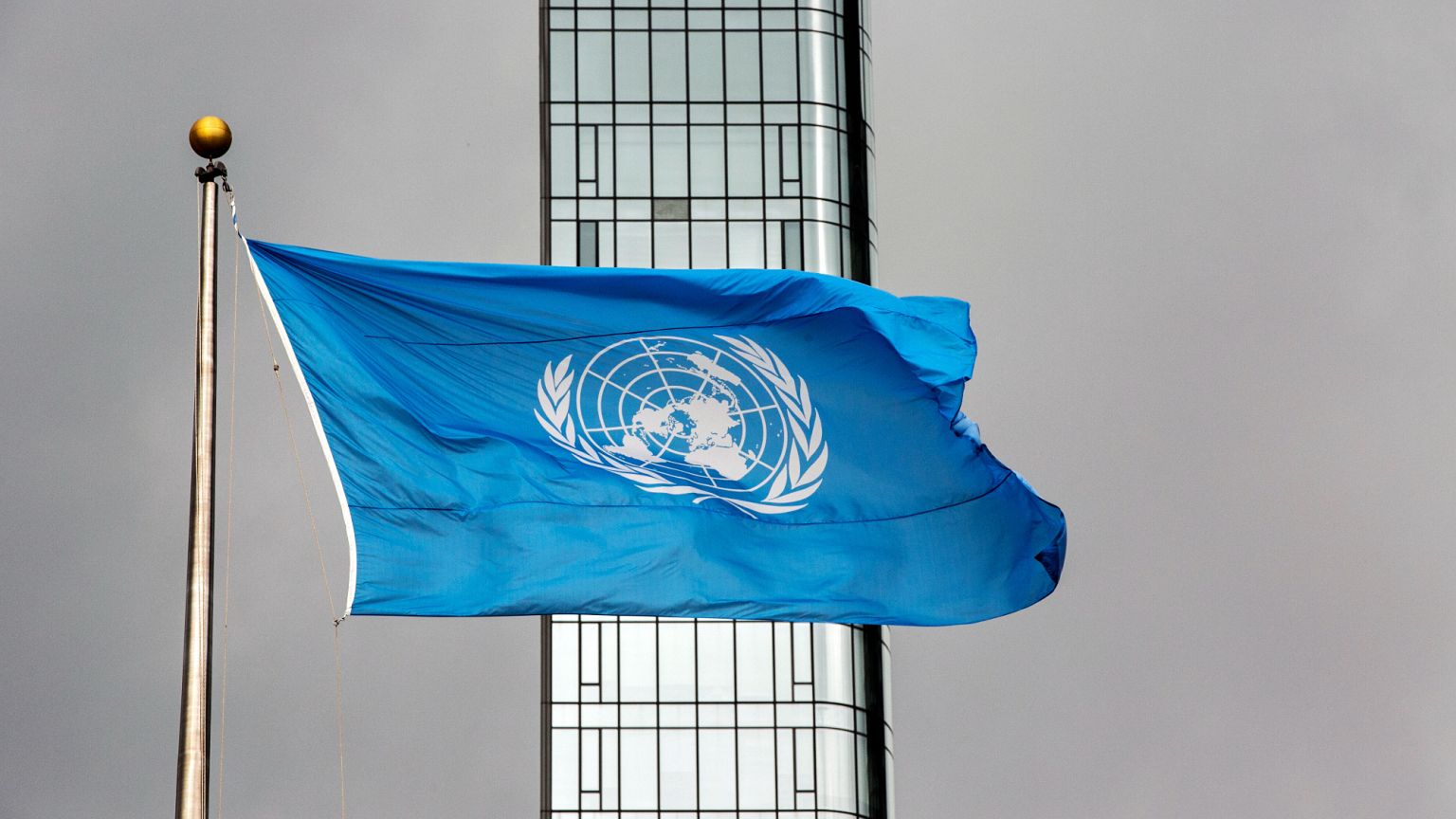 https://static.euronews.com/articles/stories/09/32/79/32/1536x864_cmsv2_9bb02bb2-f0dd-5372-838f-fc57685130e1-9327932.jpg