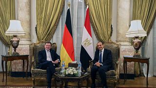 Egypt and Germany FMs call for "de-escalation" in Iran-Israel crisis