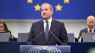 Jeroen Lenaers (EPP), rapporteur for the European Parliament text on combating the sexual abuse of children
