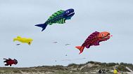 SCREENSHOT - Kites from around the globe soar over Denmark’s Fanø Island in world’s largest gathering