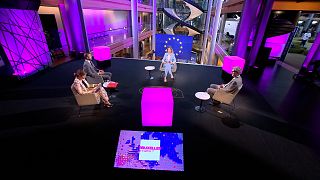 Méabh Mc Mahon with MEPs in Strasbourg 