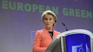 Some lawmakers think that the Commission has paid NGOs to promote the Green Deal