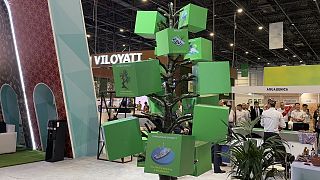 A “green tree” highlights eco-projects from across Uzbekistan at Eco Expo 2025.