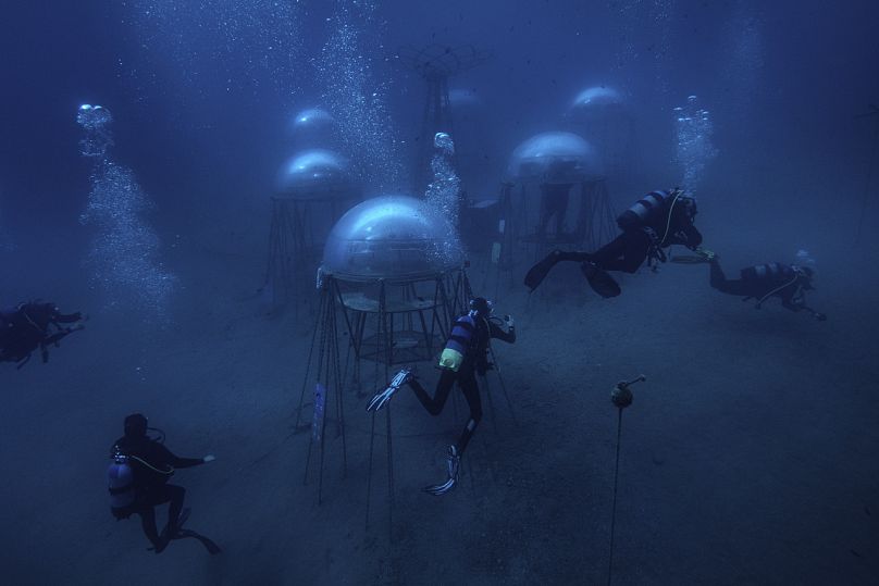 Nemo’s garden’, 2021. 