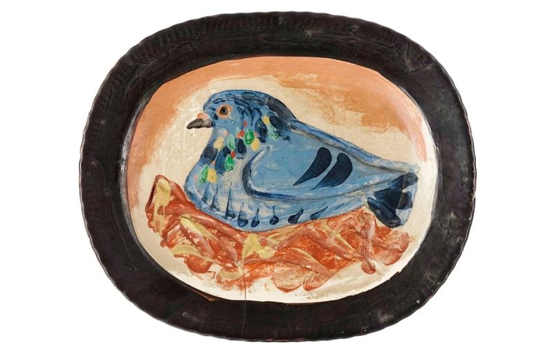 Brooding pigeon