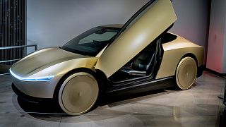 A fully functional, pre-production Tesla Cybercab, also known as the Robotaxi, is seen on display at the Petersen Automotive Museum in Los Angeles on Friday, Nov. 29,2024.