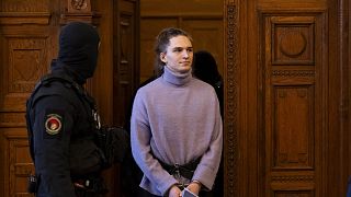 Maja T. érkezik bírósági tárgyalására februárban, Budapesten