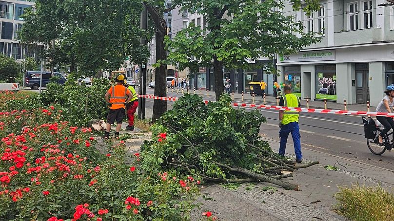 Folgen eines Astabbruches durch den Sturm am Montag