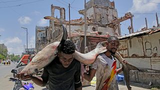 La Somalie lance sa "Vision 2060" de reconstruction et développement