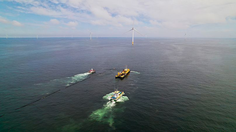 North Sea 1: Πέντε εκτάρια φυκιών καλλιεργούνται σε πλωτά δίχτυα 