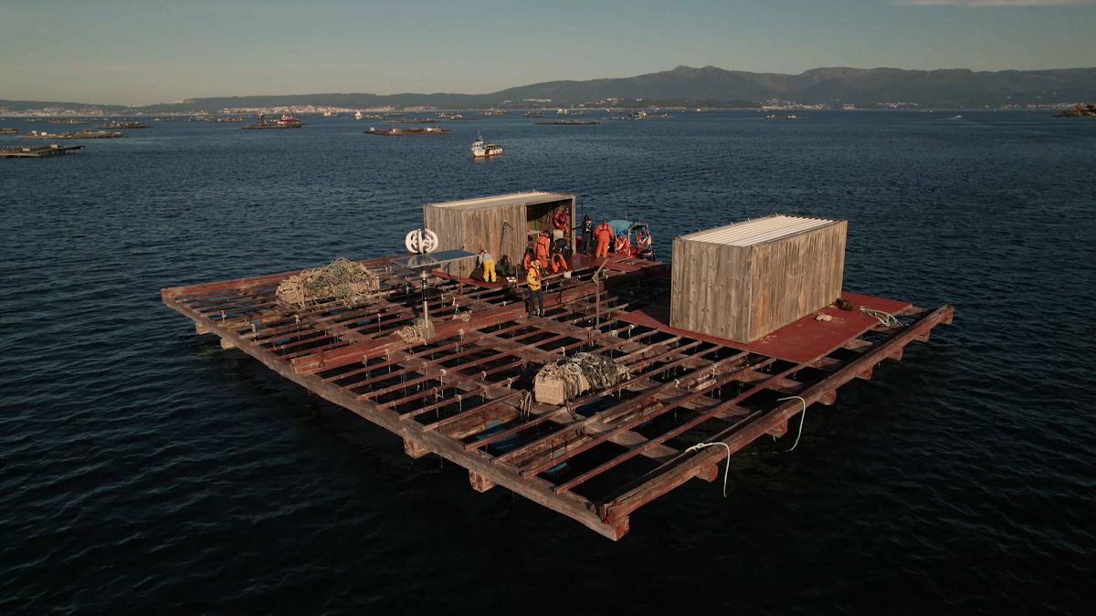 Fermes mytilicoles espagnoles, décideurs de l'UE : suivre les données de l'économie bleue en Europe