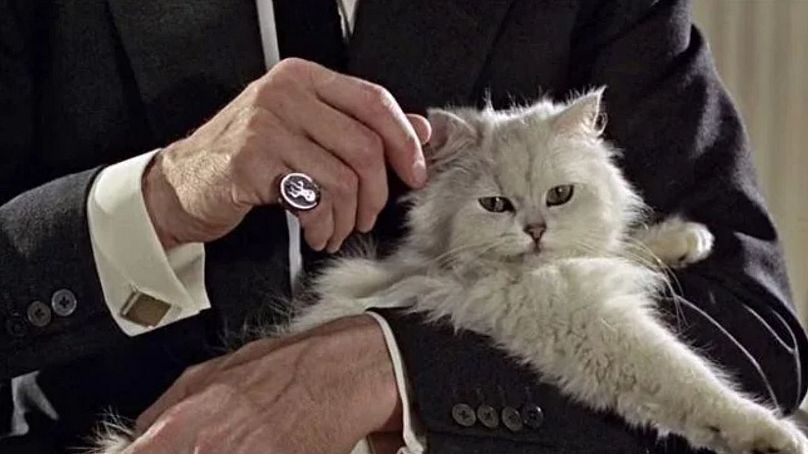 Blofeld and his cat