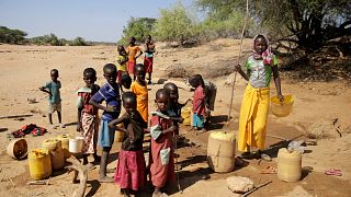 Groundbreaking study maps the African gut microbiome across urban and rural communities