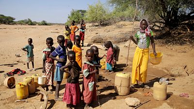 African gut study reveals urbanization threatens microbial diversity