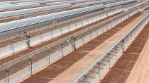 Morocco: United Kingdom withdraws from renewable energy project