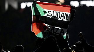 USA : un danseur arrêté pour son drapeau "Soudan Libre" lors du Superbowl 